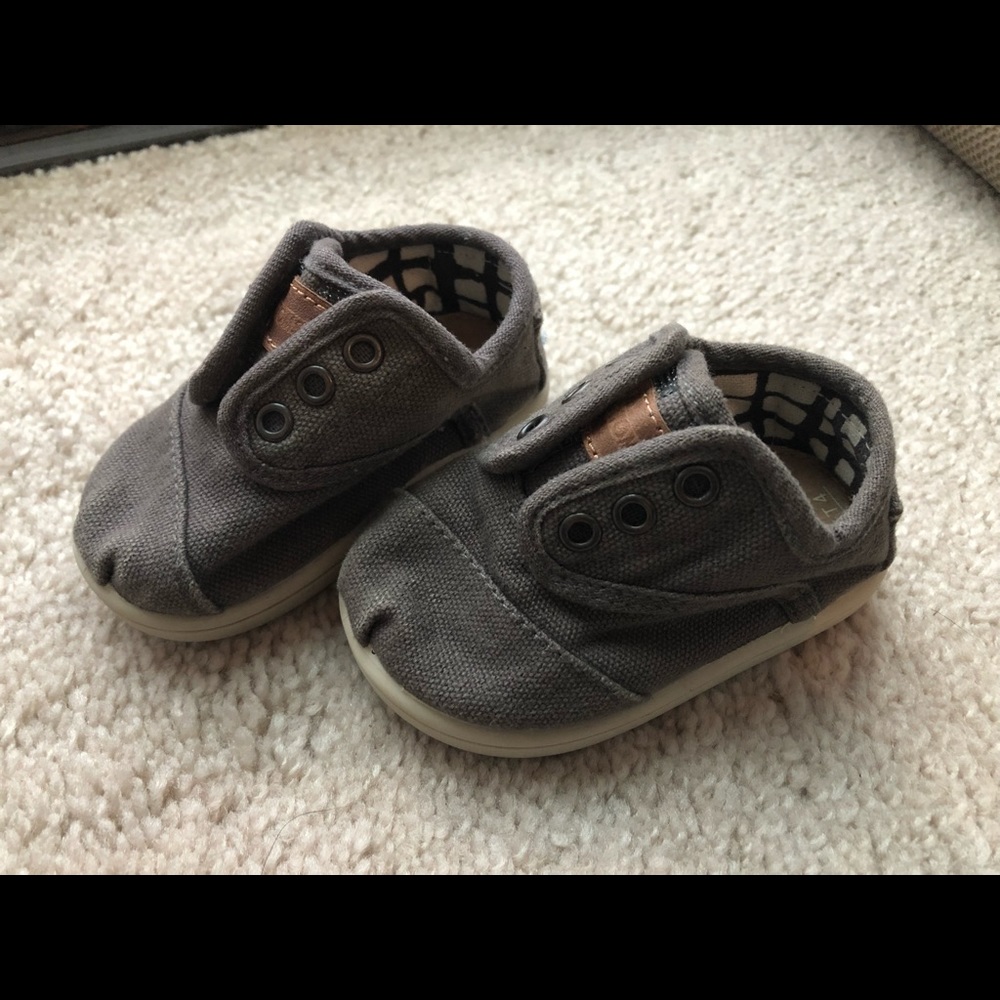 Gray ash tiny toms